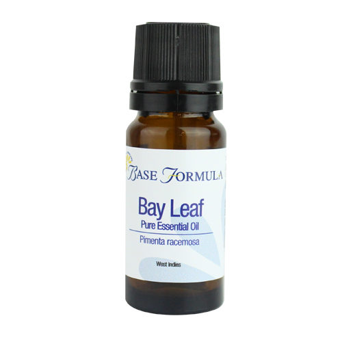100 pure Bay Leaf (Pimenta racemosa) Essential Oil